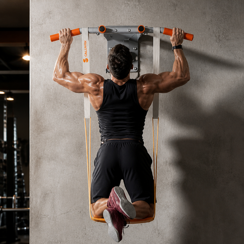 Barre de traction murale